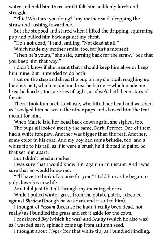 Echo Mountain (paperback) - Image 3