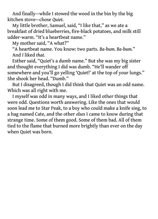 Echo Mountain (paperback) - Image 4