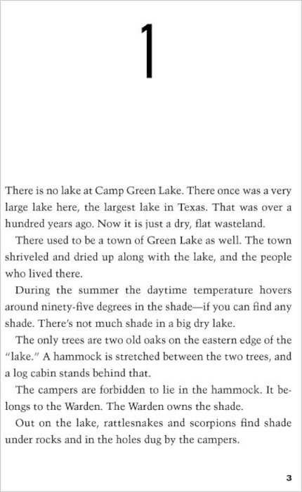 Holes 25th Anniversary Edition - Image 2