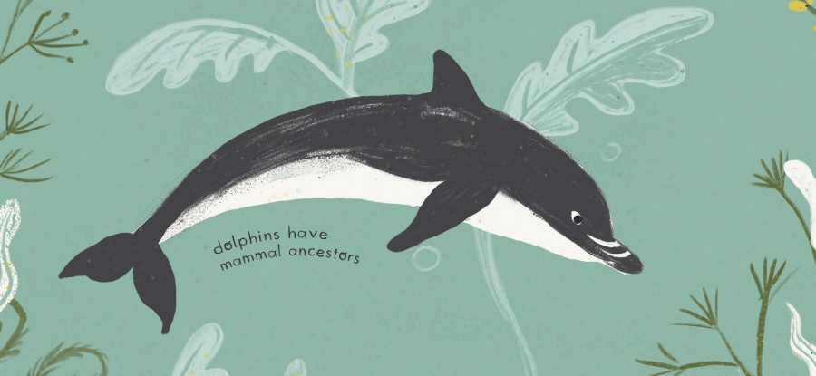 On The Origin of Species - Image 5