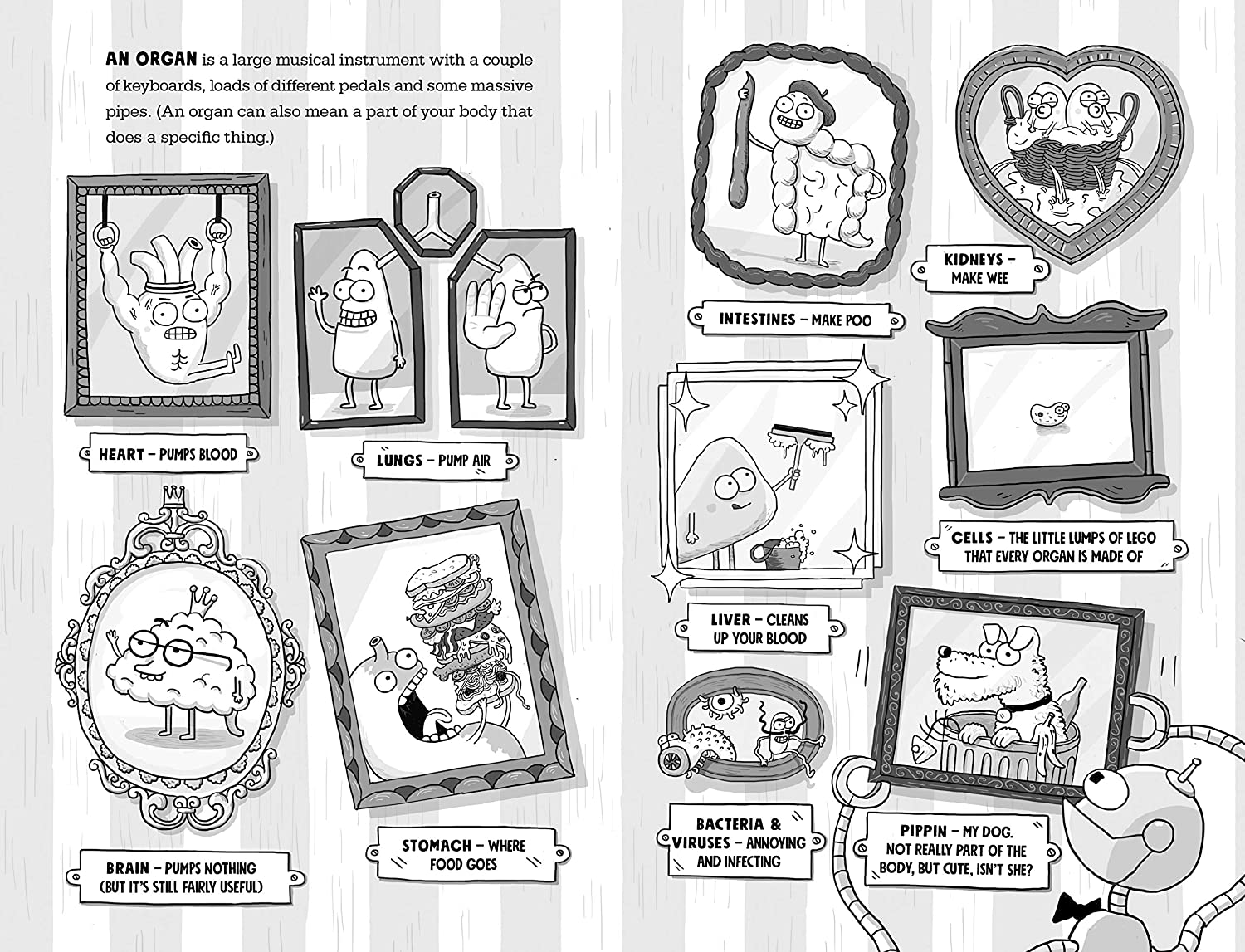 Kay's Anatomy - Image 3