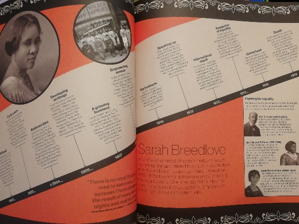 Timelines from Black History : Leaders, Legends, Legacies - Image 3