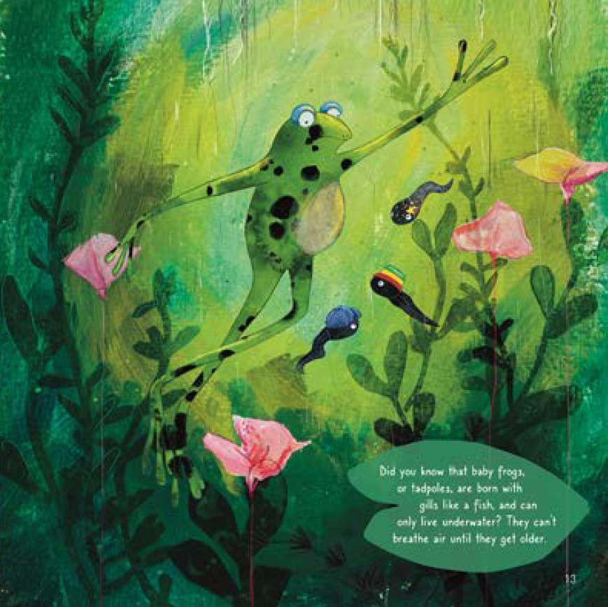 The Magic Garden Frog - Image 4